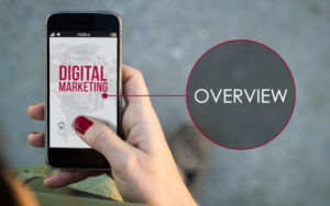 Read more about the article The Essential Digital Marketing Overview