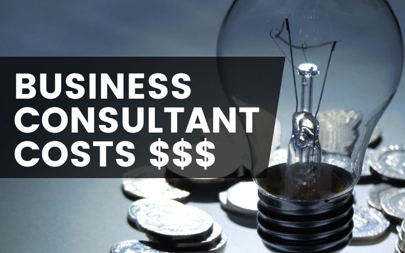 Business Consultant Cost