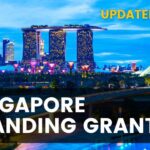 Overview of Singapore Branding Grants in 2026